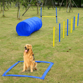 Dog agility training equipment