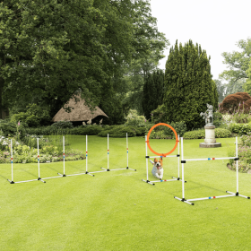 Dog Agility Equipment Set of Eight Cones